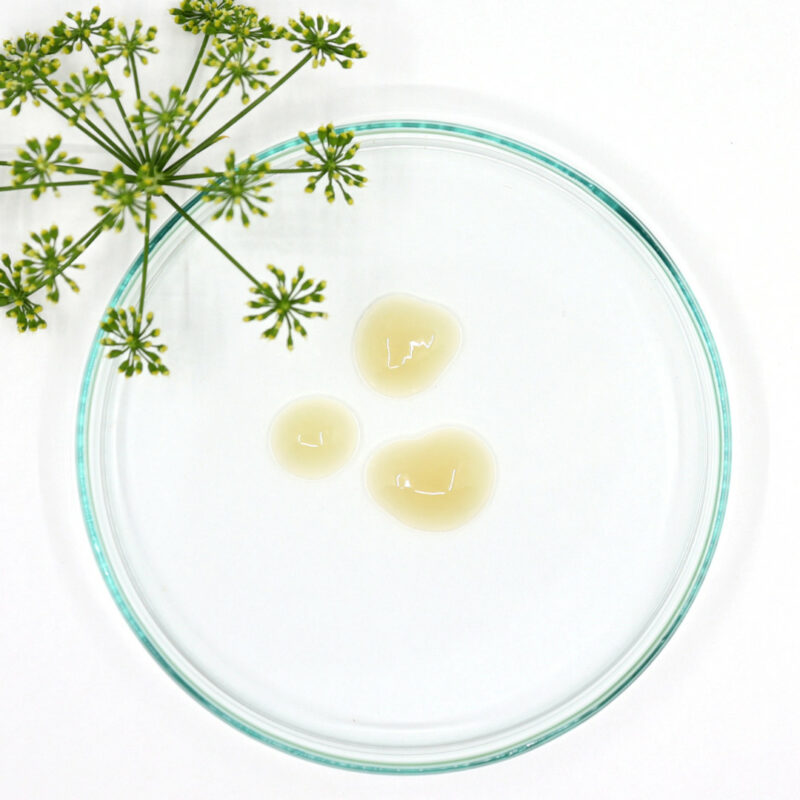 3 gouttes de sérum hydratant sur une coupelle en verre avec une fleur