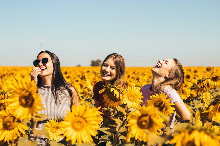 3 femmes joyeuses dans un champs de tournesols